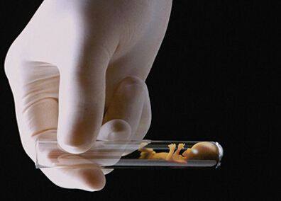 胚胎实验室
